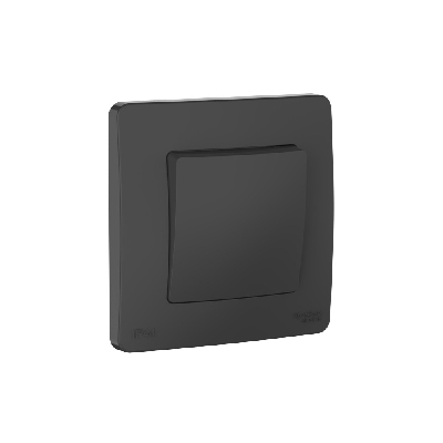 BLANCA С/У IP44 1-клавишный ПЕРЕКЛЮЧАТЕЛЬ (сх.6), 10AX, 250В, АНТРАЦИТ