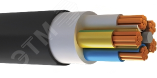 Кабель силовой ВВГнг(А)-LSLTx 5х25,0 мк (N,PE) - 0,66 кВ ТРТС