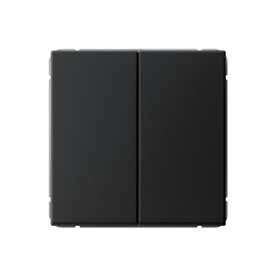 ARTGALLERY 2-клавишный ВЫКЛЮЧАТЕЛЬ КНОПОЧНЫЙ, 10АХ, механизм, быстрозажимные клеммы, КАРБОН