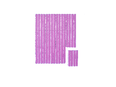 Огнеборец (Фортис) Розетка комплект из 12 шт. Защищает устройства объемом до 0,4л